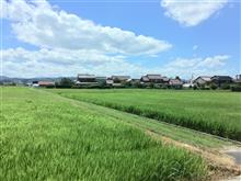 運転マナーが街の美しさ 運転マナーが街の美しさ