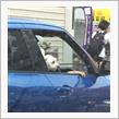 ワンちゃんは車が好き♫