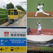 野球観戦（埼玉西武vs福岡ソフトバンク）
