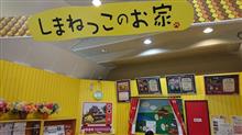 17日のアレコレ 17日のアレコレ
