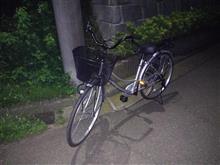 運動不足です。 運動不足です。
