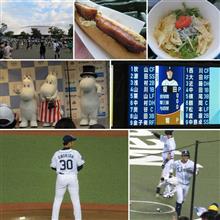 野球観戦（埼玉西武vs北海道日本ハム）
