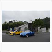 黄色とプチTRG②