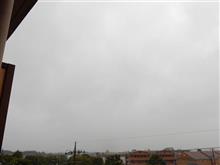 ９月２１日　一日雨模様になりそうな金曜日、おはよ～♪