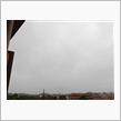 ９月２１日　一日雨模様になりそうな金曜日、おはよ～♪