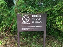 関係なかった