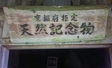 京都府で唯一の鍾乳洞