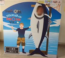 三崎マグロ食べオフ(*゚∀゚*) 三崎マグロ食べオフ(*゚∀゚*)