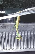 無賃乗車 無賃乗車