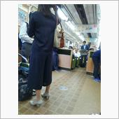 本日の車両