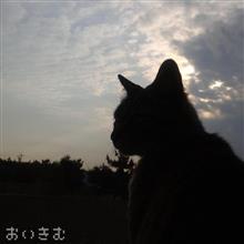 記録的に発掘されない。
