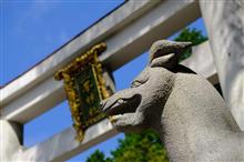 またまた秩父将門の滝キャンプ場に出撃♪ またまた秩父将門の滝キャンプ場に出撃♪