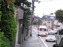 おせっかいなねこ。 おせっかいなねこ。