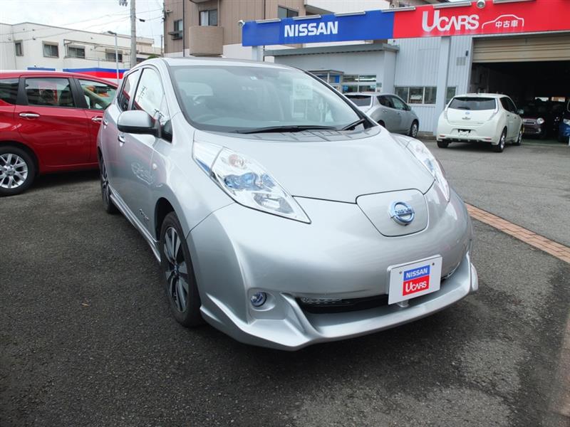 日産リーフ購入 Nanakapapaのブログ Nanakapapaのページ みんカラ