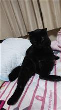 横から伸びる手 横から伸びる手