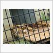 動物園にいってみた！