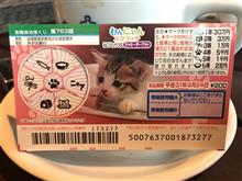 子猫のスクラッチを削ったら・・・