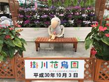 今年も掛川花鳥園に行ってきました 今年も掛川花鳥園に行ってきました