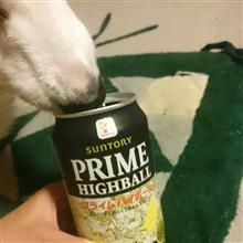 ノマノマたーーいむ ノマノマたーーいむ