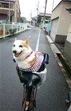 加齢なるエンジン 加齢なるエンジン