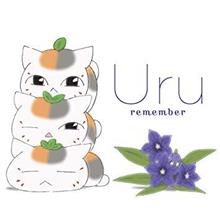 劇場版 夏目友人帳 ～うつせみに結ぶ～