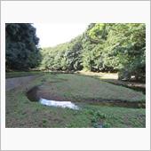渋谷荘お散歩