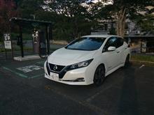 リーフ乗り替えました。 リーフ乗り替えました。