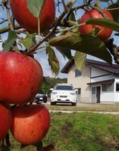 林檎を買いに大阪農園