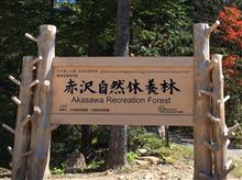 木曽谷の森林鉄道 木曽谷の森林鉄道