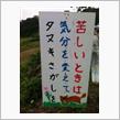 いろいろと輝けばいいのに。
