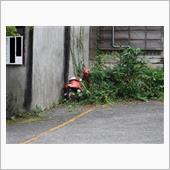 草ヒロ(^_^;)