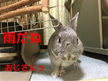スイッチひとつでっ♪真赤に燃えあがるぅ♪ 「+」 スイッチひとつでっ♪真赤に燃えあがるぅ♪ 「+」