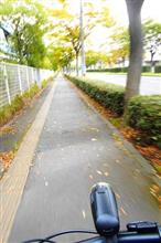 秋の仙台を駆け抜けてみた。(^。^) 秋の仙台を駆け抜けてみた。(^。^)