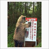 ある〜日家の中〜くまさんに出 ...