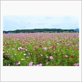 ルナ対ルナ【益子町の田園に広 ...