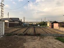 田んぼ耕し
