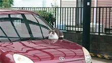 いってらっしゃい