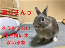 仲間のっ中古のっ♪オ〜プンカ〜っ♪ 仲間のっ中古のっ♪オ〜プンカ〜っ♪