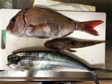釣り 釣り