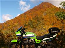 紅葉ピークの小谷温泉へ