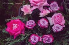 Arrangement of the Rose Arrangement of the Rose