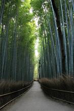 「黄門会第五回秋の一泊旅行」京都編