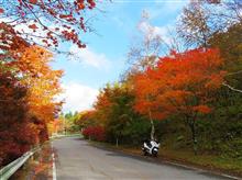 紅葉パトロール  「茶臼山高原」  