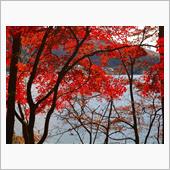 白馬の紅葉