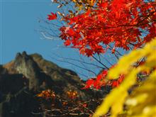 紅葉ハイキング 紅葉ハイキング