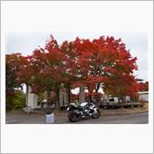 S1000Rで高野山の紅葉を ...