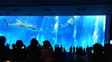 人生初の沖縄旅行 人生初の沖縄旅行