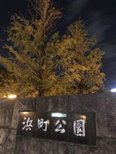 夜の散歩