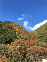 ＩＳさんからの釣行レポート：今年のハコスチは？