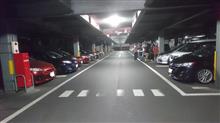 プレマシーライフ千葉 市川ナイトのおしらせ♪ プレマシーライフ千葉 市川ナイトのおしらせ♪